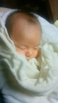 201112291754000.jpg